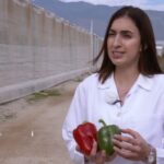 El objetivo de un publicista: conquista tu mente y corazón