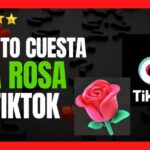 TikTok enfrenta demanda por infracci&oacute;n de derechos de autor: &iquest;qui&eacute;nes se llevan la fama?