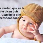 Descubre las mejores frases para tiendas de mascotas: &iexcl;Un mensaje con amor para nuestros peludos!