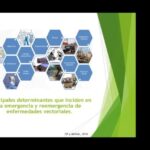 Aprende a insertar botones en PowerPoint para una presentaci&oacute;n interactiva