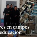 Descubre de dónde son los talentosos hermanos Torres, cocineros sorprendentes