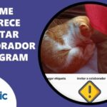 Descubre cómo activar la función de respuesta de mensajes en Instagram