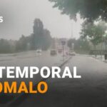 Horario atenci&oacute;n al b&eacute;tico: Descubre los horarios de atenci&oacute;n al socio m&aacute;s apasionado del Betis