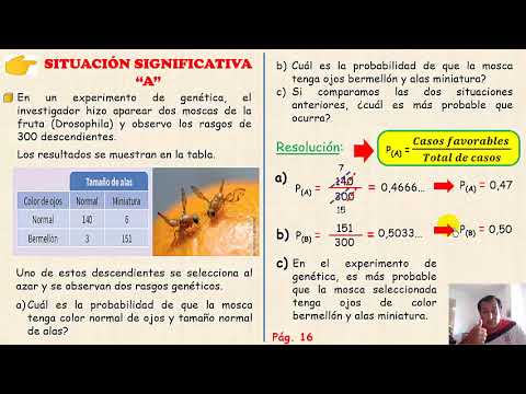Descubre el talento del destacado diseñador Javier de la Fuente en sus creaciones para madrinas