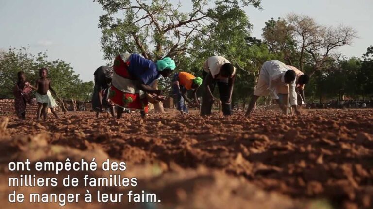 La impactante situación actual en Burkina Faso: en busca de la estabilidad