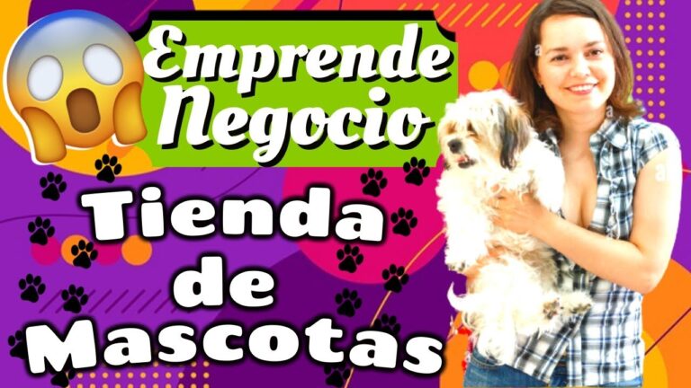 ¡Descubre lo rentable de montar una tienda de mascotas!