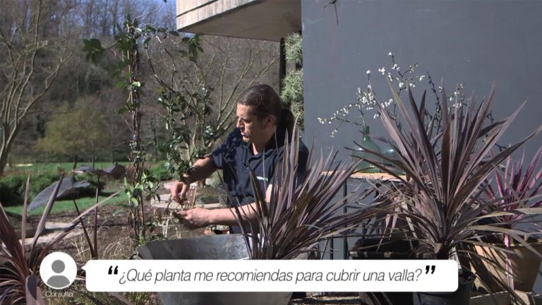 Increíbles ideas para revolucionar tu valla y destacar tu espacio