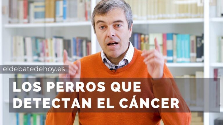 Perro experto encuentra cáncer: el asombroso poder de detección canina