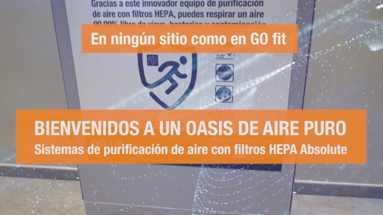 Contaminación y purificación del aire: descubre cómo mejorar la calidad del ambiente