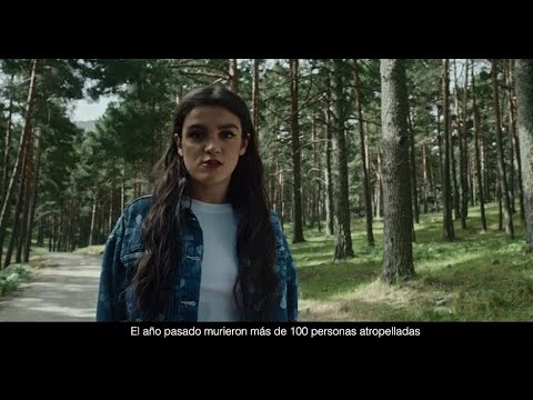 Atropellamos a Amaya: ¿Cuál es el precio de nuestra indiferencia?