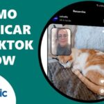 Descubre el precio en euros de una rosa de TikTok: ¿Cuánto vale realmente?