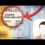 Descubre la incre&iacute;ble campa&ntilde;a brasile&ntilde;a en FIFA 22: &iexcl;Vive la emoci&oacute;n del f&uacute;tbol!