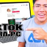 Descubre cómo comenzar una argumentación de forma efectiva
