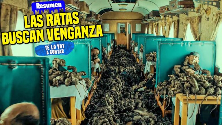 Los ratones se acercan cada vez más a las personas: ¿qué riesgos conlleva?