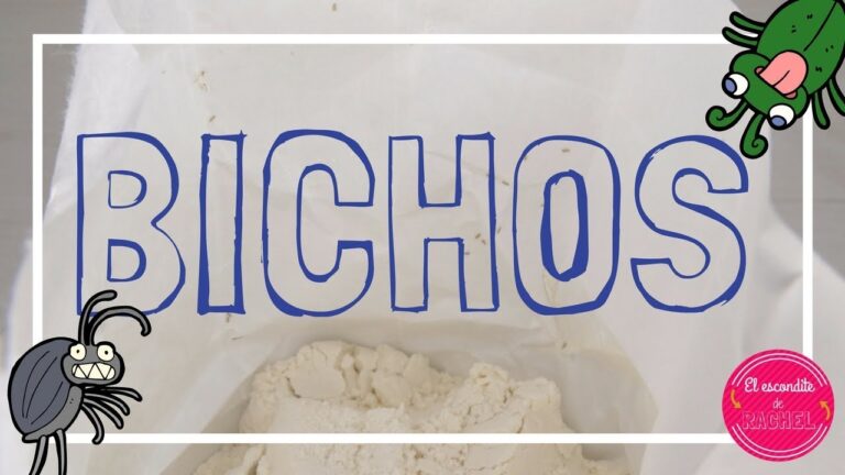 ¡Alerta! Encuentran un bicho en la harina: ¿una nueva amenaza para nuestra alimentación?
