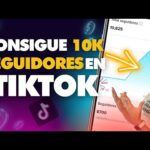 Descubre el precio en euros de una rosa de TikTok: ¿Cuánto vale realmente?