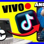 Descubre cómo TikTok te paga por tu creatividad