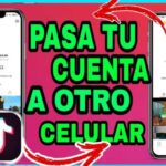 Descubre el precio en euros de una rosa de TikTok: ¿Cuánto vale realmente?