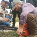 Telef&oacute;nica y Repsol revolucionan con paneles solares