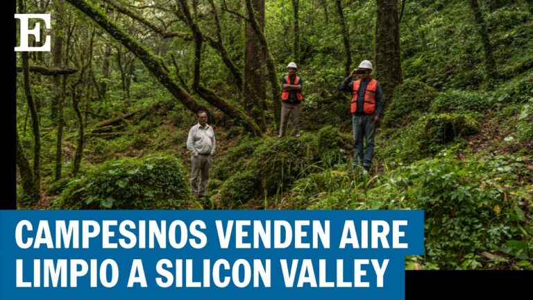 Las ventas de hoy: descubre qué hay de nuevo