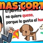 Descubre las mejores frases para tiendas de mascotas: &iexcl;Un mensaje con amor para nuestros peludos!