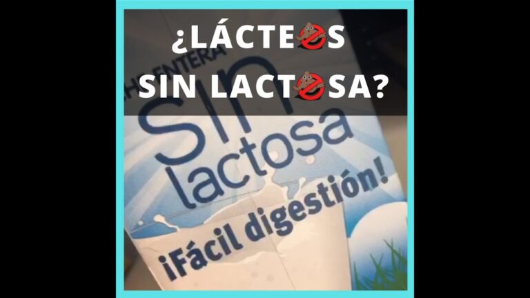 Descubre la sorprendente verdad sobre el Aquarius: ¿tiene lactosa?